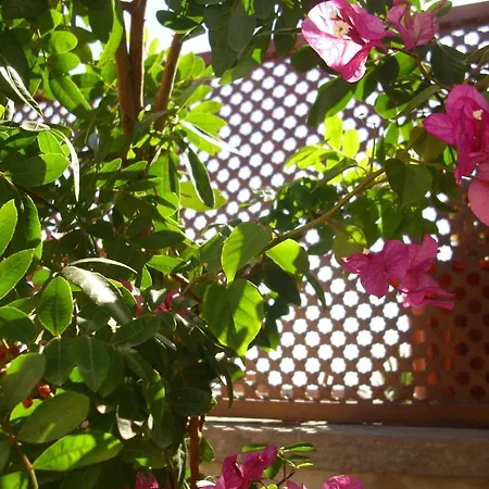 Kır Evi Casa Rural Tamaide San Miguel de Abona