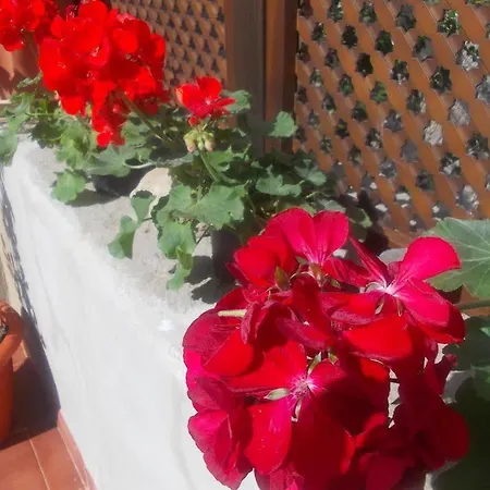 Casa Rural Tamaide Kır Evi San Miguel de Abona